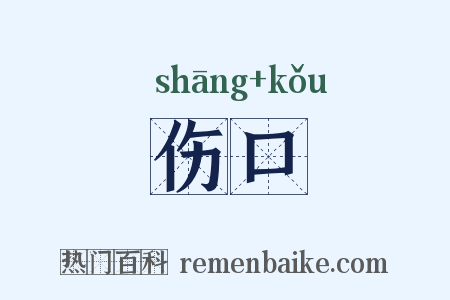 伤口是什么意思的图片